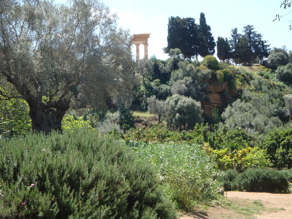 Guest House Artemide Agrigento Kültér fotó